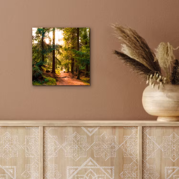 Bos - Pad - Bomen - Groen - Zon - Natuur aluminium wit klein -sfeer4