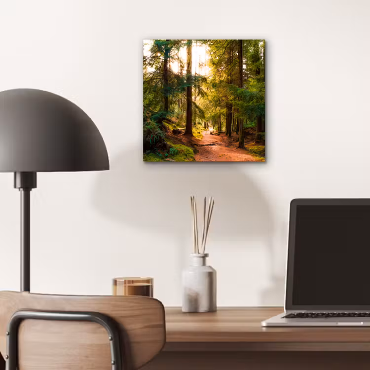 Bos - Pad - Bomen - Groen - Zon - Natuur aluminium wit klein -sfeer5