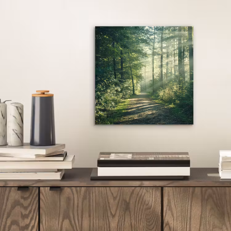 Bos - Pad - Zon - Bomen - Groen - Natuur aluminium wit klein -sfeer1