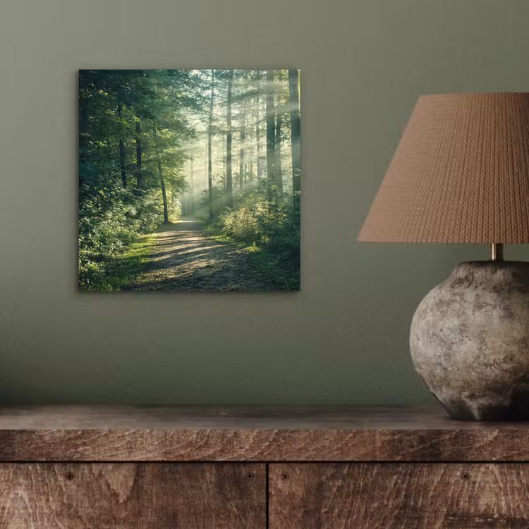 Bos - Pad - Zon - Bomen - Groen - Natuur aluminium wit klein -sfeer2