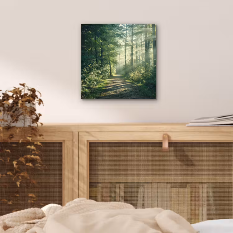 Bos - Pad - Zon - Bomen - Groen - Natuur aluminium wit klein -sfeer3