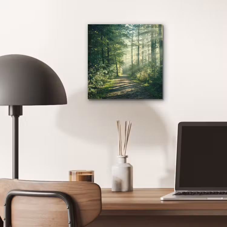 Bos - Pad - Zon - Bomen - Groen - Natuur aluminium wit klein -sfeer5