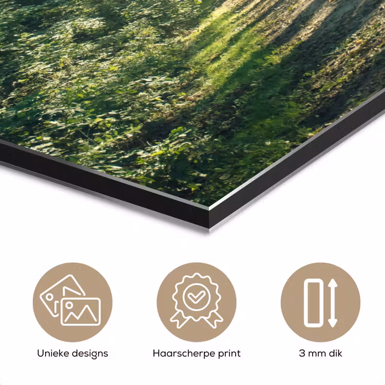 Bos - Pad - Zon - Bomen - Groen - Natuur aluminium wit klein -closeup_NL