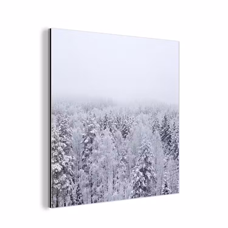 Bos - Sneeuw - Winter - Natuur - Wit aluminium wit klein -3d