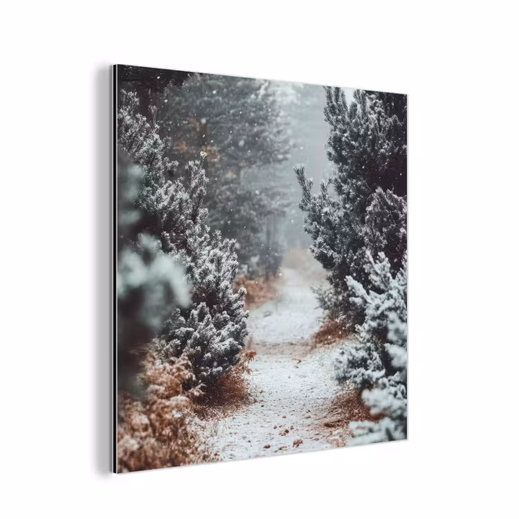 Bos - Winter - Bomen - Natuur - Pad - Sneeuw aluminium wit klein -3d