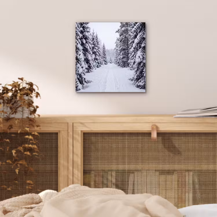 Bos - Winter - Sneeuw - Pad - Natuur aluminium wit klein -sfeer3