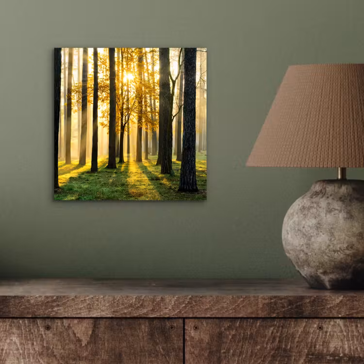 Bos - Zon - Bomen - Gras - Landschap - Natuur aluminium wit klein -sfeer2