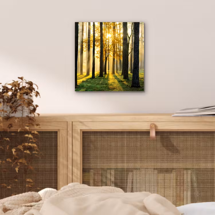 Bos - Zon - Bomen - Gras - Landschap - Natuur aluminium wit klein -sfeer3