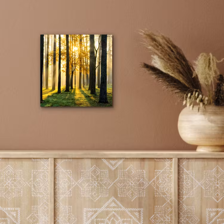 Bos - Zon - Bomen - Gras - Landschap - Natuur aluminium wit klein -sfeer4