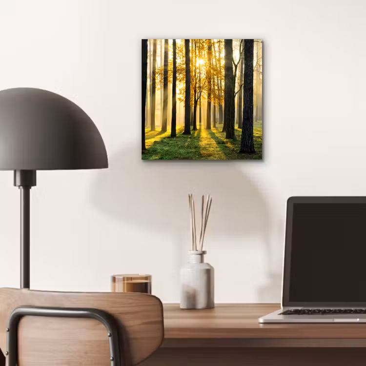Bos - Zon - Bomen - Gras - Landschap - Natuur aluminium wit klein -sfeer5