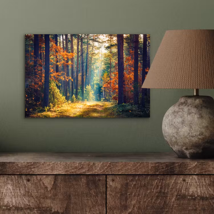 Wald - Sonne - Natur - Herbst aluminium wit klein -sfeer2