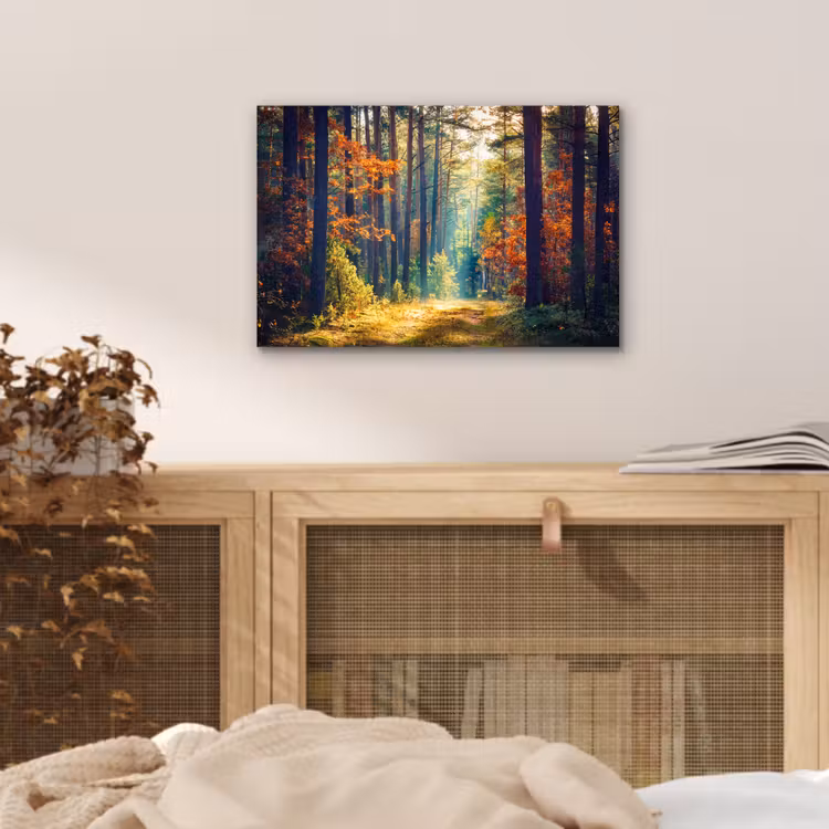 Wald - Sonne - Natur - Herbst aluminium wit klein -sfeer3