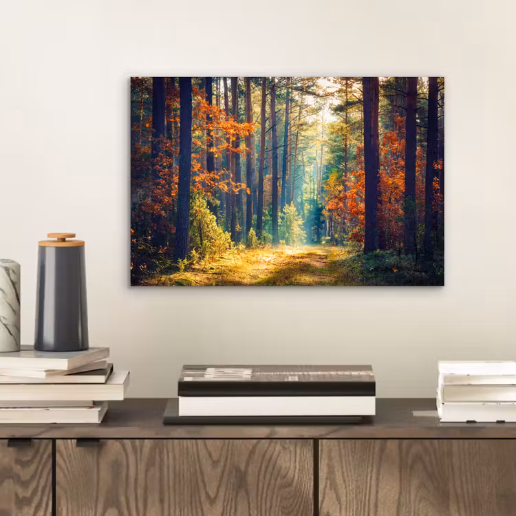 Bos - Zon - Natuur - Herfst aluminium wit klein -sfeer1
