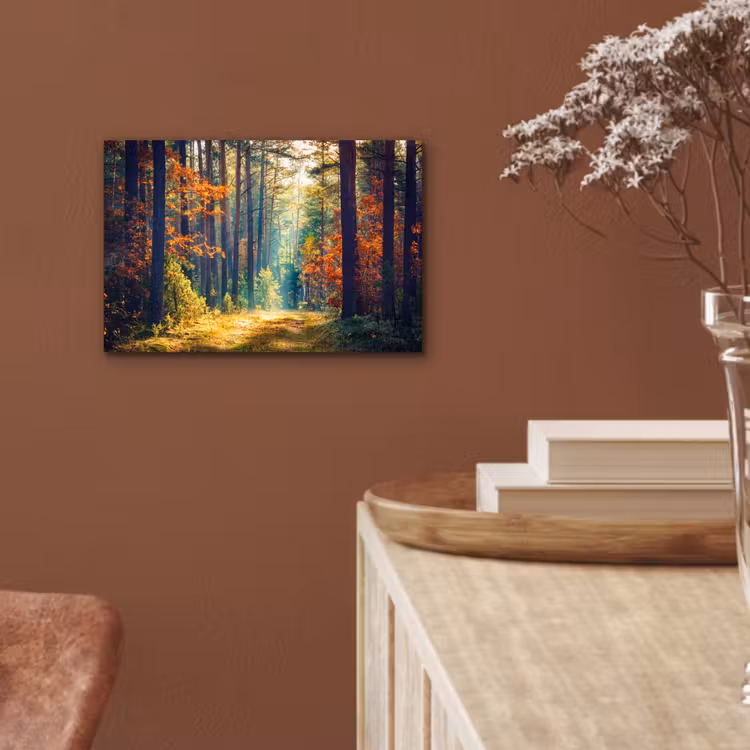 Bos - Zon - Natuur - Herfst aluminium wit klein -sfeer4