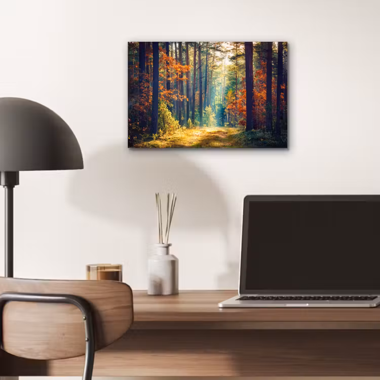 Wald - Sonne - Natur - Herbst aluminium wit klein -sfeer5
