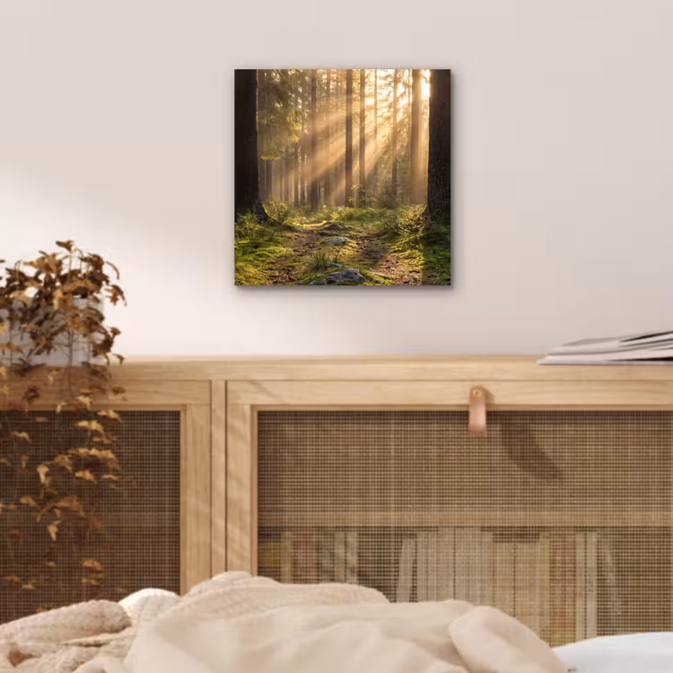 Bos - Zonlicht - Gras aluminium wit klein -sfeer3