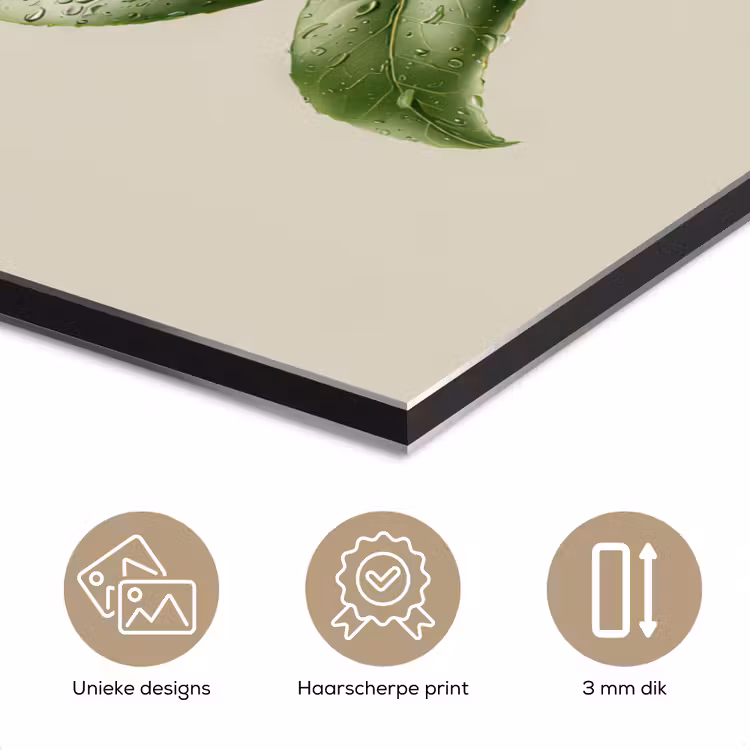 Cameliabloem - Wit - Groen aluminium wit klein -closeup_NL