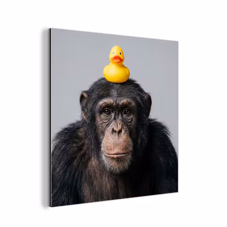 Chimpansee - Badeend - Grijs aluminium wit klein -3d