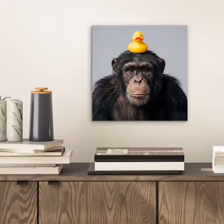 Chimpansee - Badeend - Grijs aluminium wit klein -sfeer1