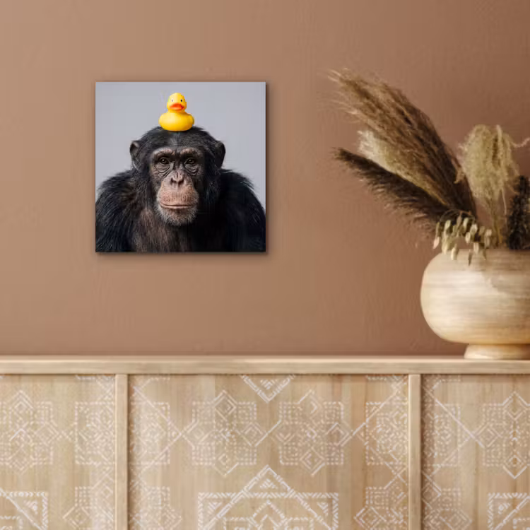 Chimpansee - Badeend - Grijs aluminium wit klein -sfeer4