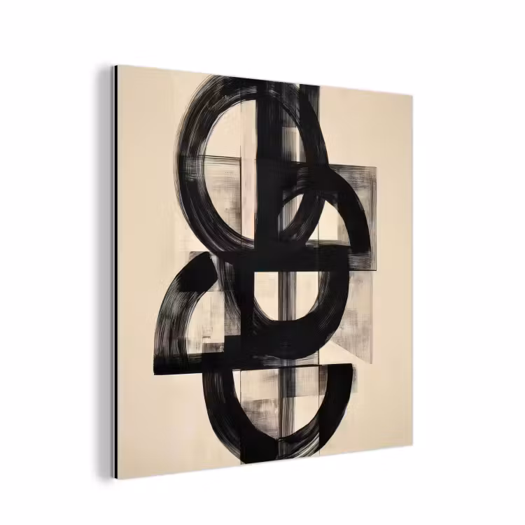 Cirkels - Lijnen - Vormen - Zwart aluminium wit klein -3d