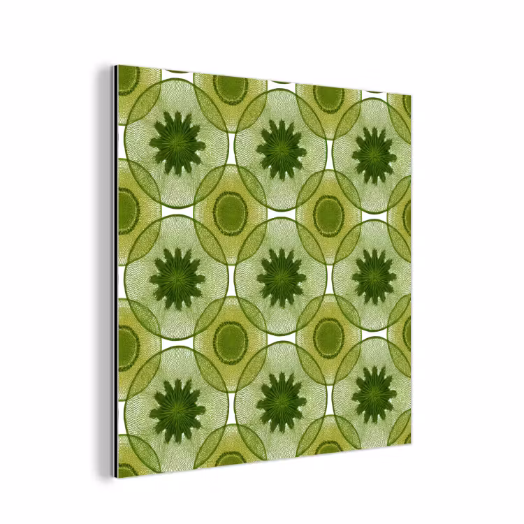 Cirkels - Patroon - Groen aluminium wit klein 46 -3d