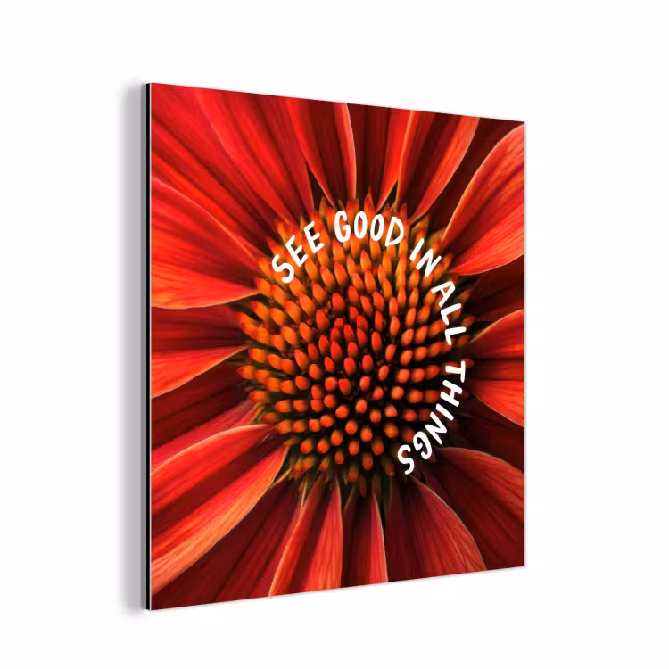 Close up - Bloem - Quote - Rood aluminium wit klein -3d