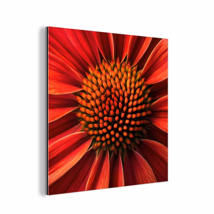 Close up - Bloem- Rood aluminium wit klein -3d