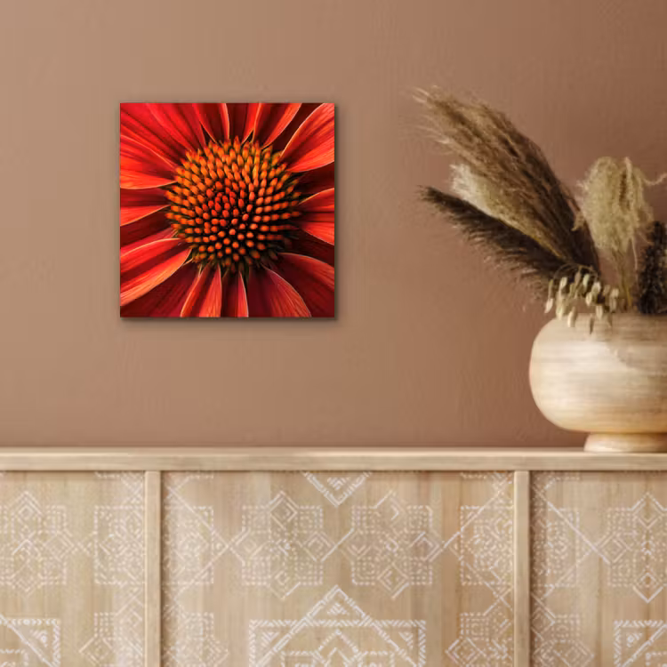 Close up - Bloem- Rood aluminium wit klein -sfeer4