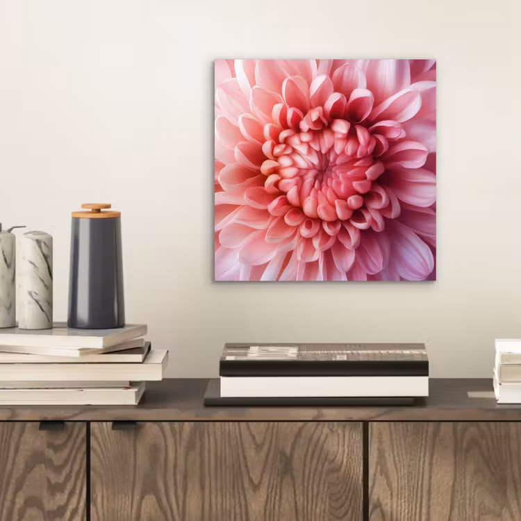 Dahlia - Bloem - Close up - Roze aluminium wit klein -sfeer1