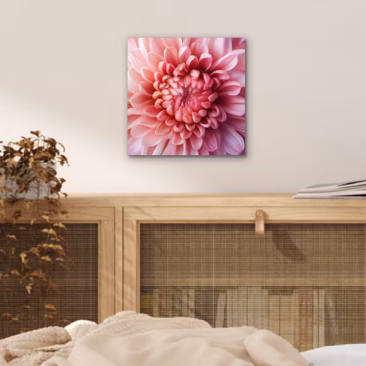 Dahlia - Bloem - Close up - Roze aluminium wit klein -sfeer3