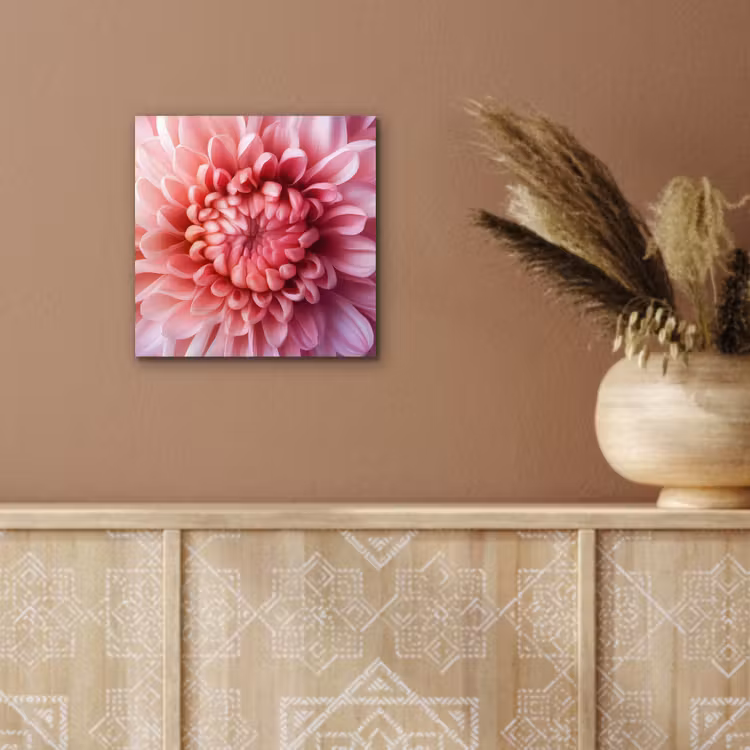 Dahlia - Bloem - Close up - Roze aluminium wit klein -sfeer4
