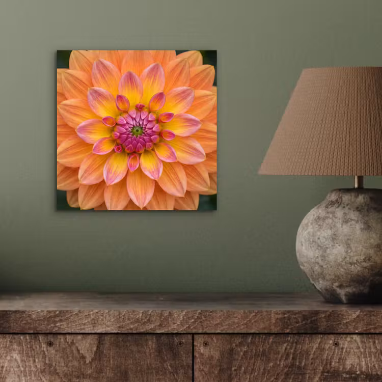 Dahlia - Bloem - Oranje aluminium wit klein -sfeer2