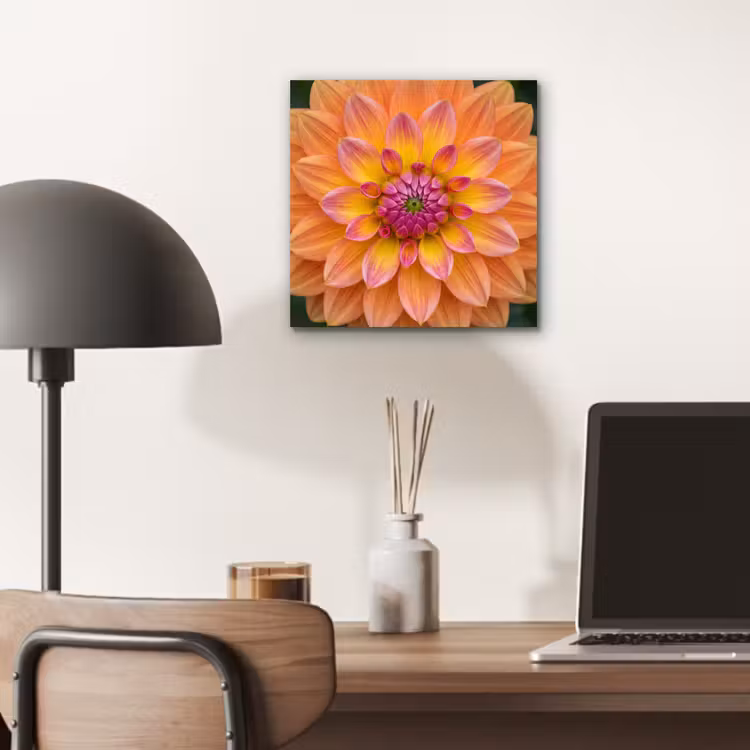 Dahlia - Bloem - Oranje aluminium wit klein -sfeer5