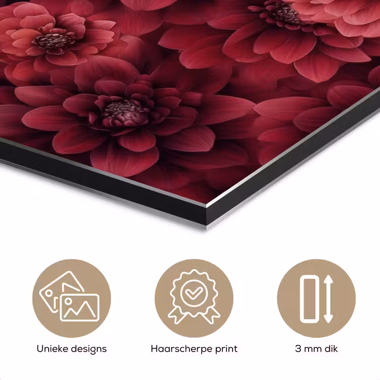 Dahlias - Bloemen - Rood aluminium wit klein 46 -closeup_NL