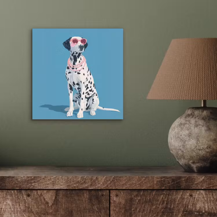 Dalmatiër - Zonnebril - Blauw aluminium wit klein -sfeer2