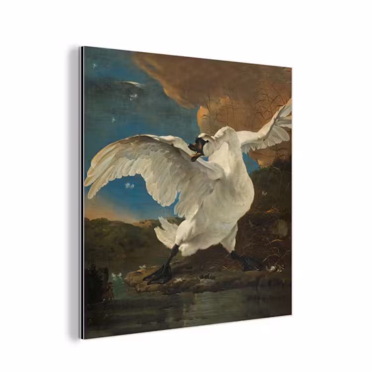 De bedreigde zwaan - Schilderij van Jan Asselijn aluminium wit klein -3d