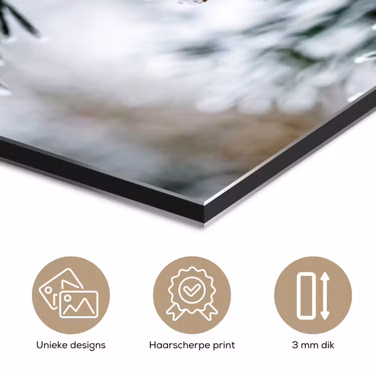 Dennenappel - Tak - Sneeuw - Winter - Sfeervol aluminium wit klein -closeup_NL