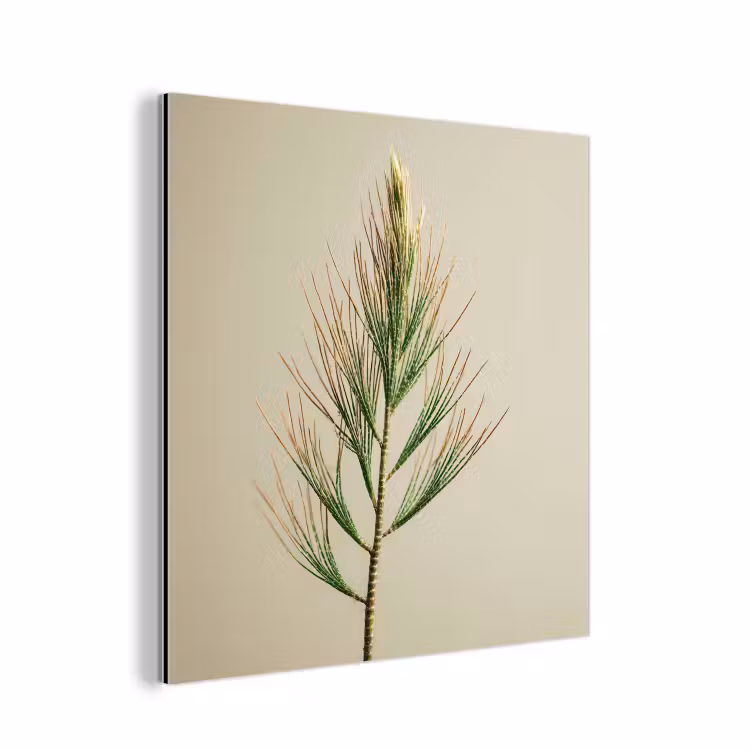 Dennentak - Naaldvormige bladeren - Lichtgroen aluminium wit klein -3d