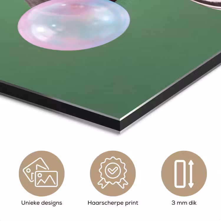 Dier - Bril - Bel - Modern - Groen aluminium wit klein -closeup_NL