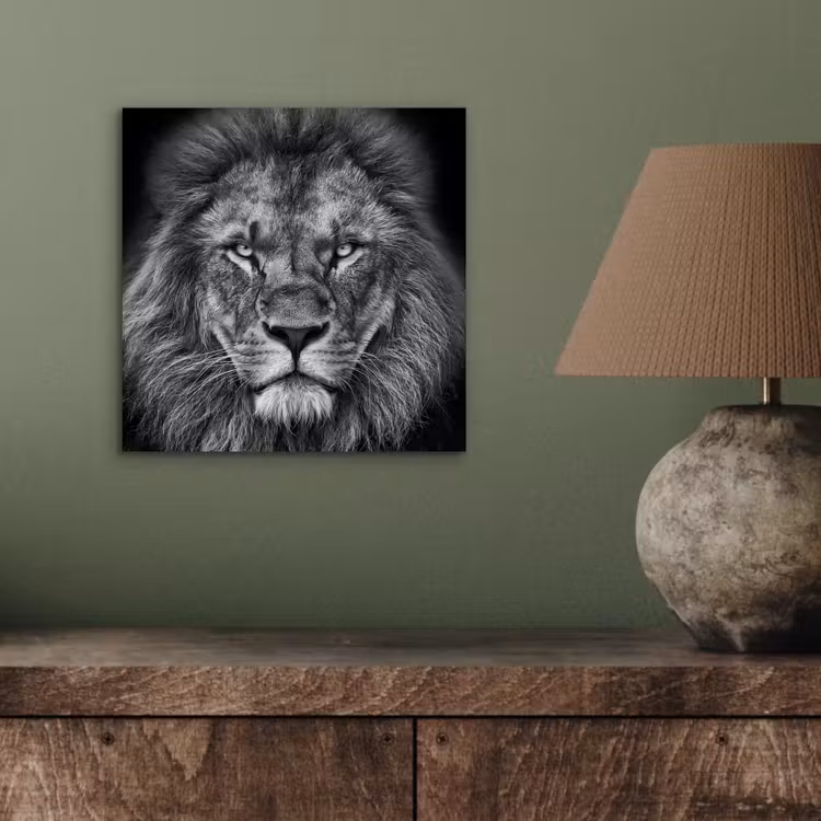 Dieren - Leeuw - Zwart - Wit - Portret aluminium wit klein -sfeer2