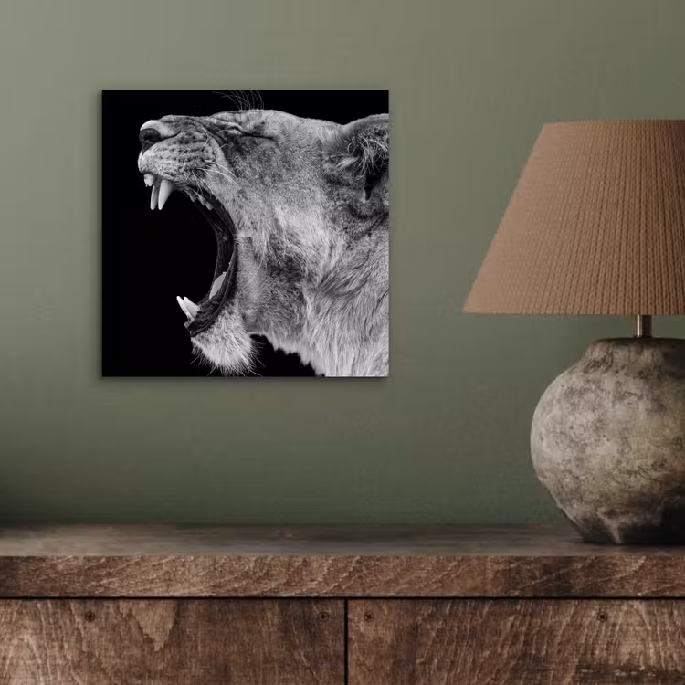 Dieren - Leeuw - Zwart - Wit - Portret aluminium wit klein -sfeer2