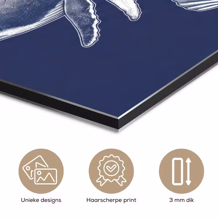 Dieren - Zeeleven - Oceaan - Graveren - Blauw aluminium wit klein -closeup_NL