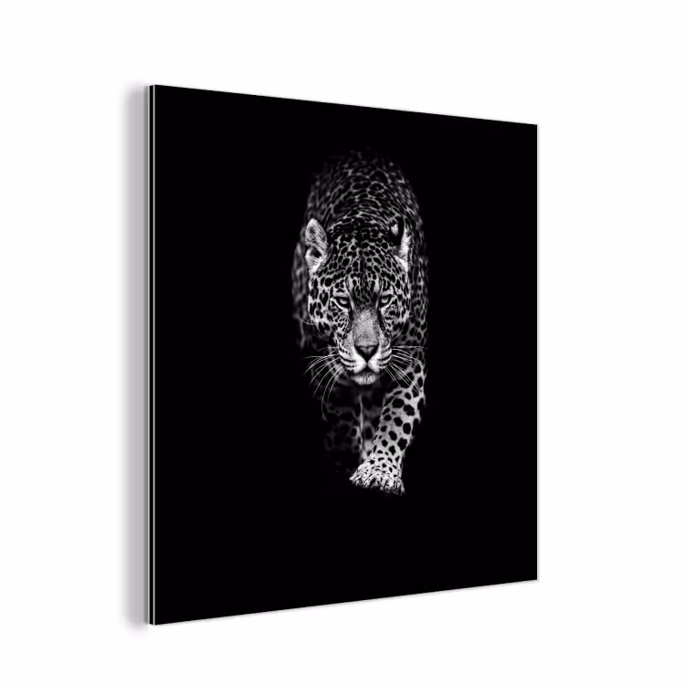 Dieren - Zwart - Luipaard - Wit - Wild aluminium wit klein -3d
