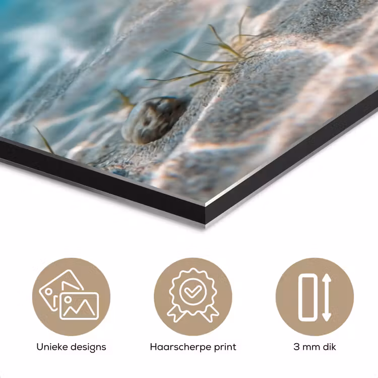 Duikbril - Eend - Water aluminium wit klein -closeup_NL