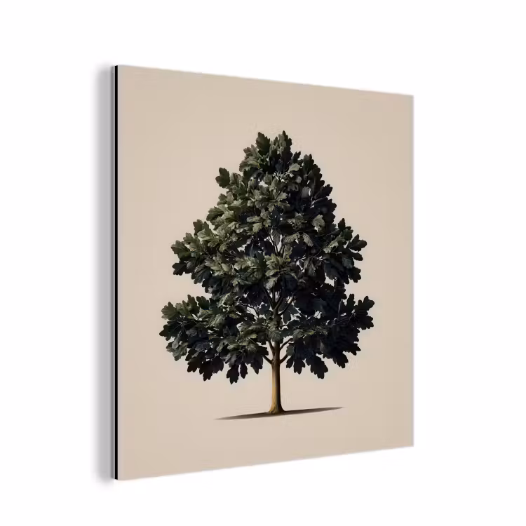 Eikenboom - Schaduw - Egaal aluminium wit klein -3d