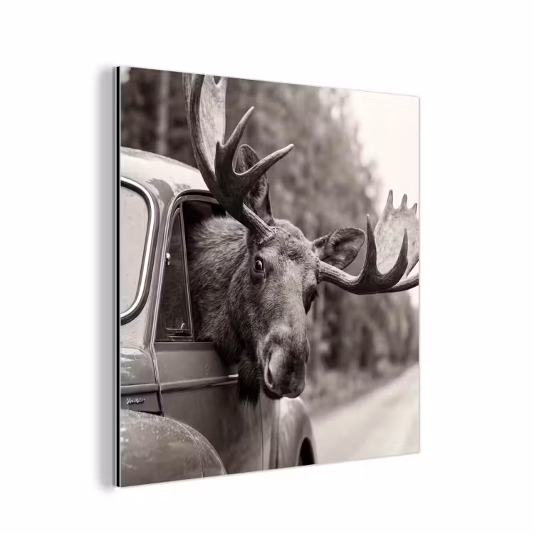 Eland - Auto - Gewei - Zwart - Wit aluminium wit klein -3d