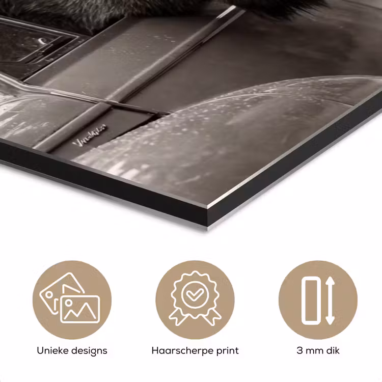 Eland - Auto - Gewei - Zwart - Wit aluminium wit klein -closeup_NL