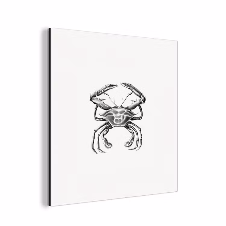 Tuinposter zwart wit - Ernst Haeckel - Vintage - Tuin - Kunst aluminium wit klein -3d