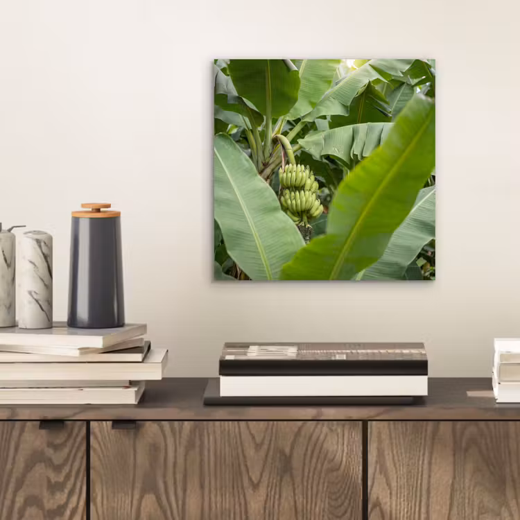 Eten - Bananen - Plantage - Groen aluminium wit klein -sfeer1